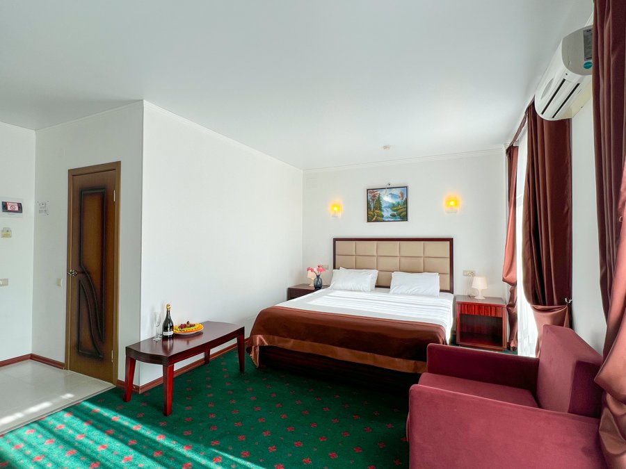 Номер «2-местный 1-комнатный TWIN/DOUBLE» — «Wellness Park Hotel Gagra» — фото 3