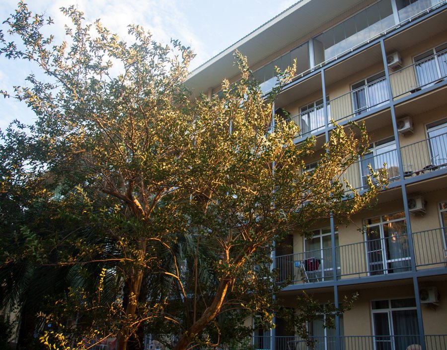 Wellness Park Hotel Gagra